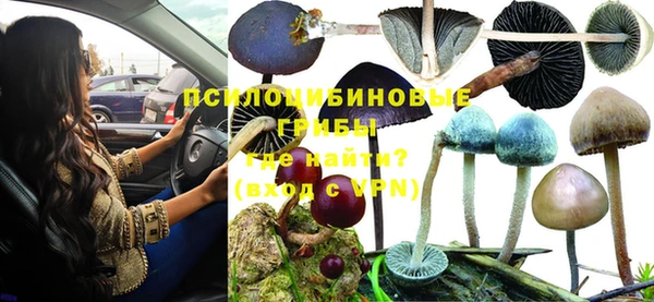 прущая мука Киренск