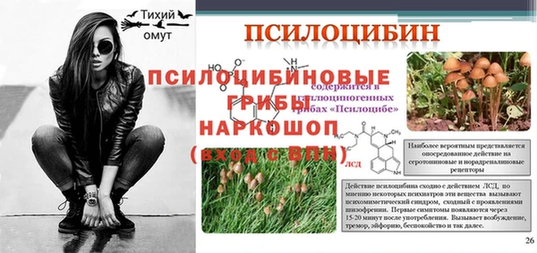 прущий лед Кинешма